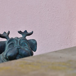 2026-01-08 Brandenburg an der Havel/Waldmöpse/DSC_2290.JPG